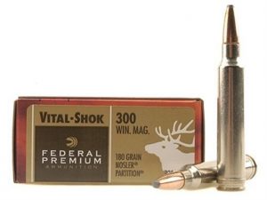 .300 Win Mag ammo is best for hunting